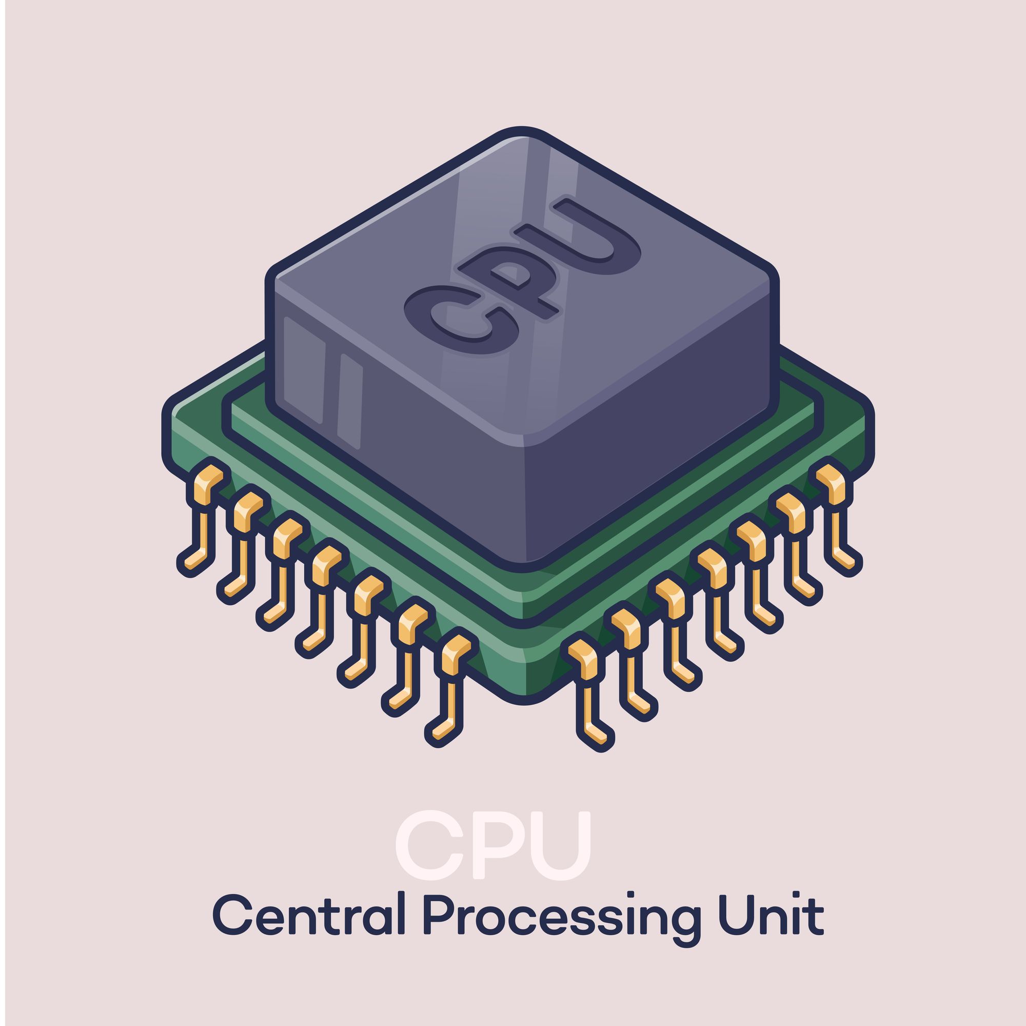 Unlocking Growth: How WordPress Reseller Hosting and Carrier-Neutral Colocation Empower Digital Entrepreneurs